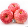 红富士苹果5kg 一级铂金大果 单果230g以上 生鲜 新鲜水果 孕妇可食