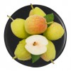 新疆库尔勒香梨 5kg 特级香梨 单果120g以上 生鲜水果 健康轻食 新老包装随机发货