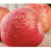 烟台红富士苹果10斤山东栖霞产地直发现摘当季新鲜水果整箱包邮5