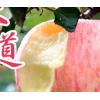 山东烟台红富士苹果10斤栖霞产地直发丑苹果当季应季新鲜水果包邮
