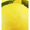 安岳黄柠檬新鲜水果皮薄多汁一二级非青香水鲜柠檬果